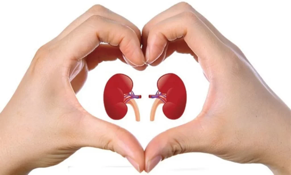 Donate Kidney